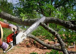 Lawn Drainage Solutions in Crockett, CA